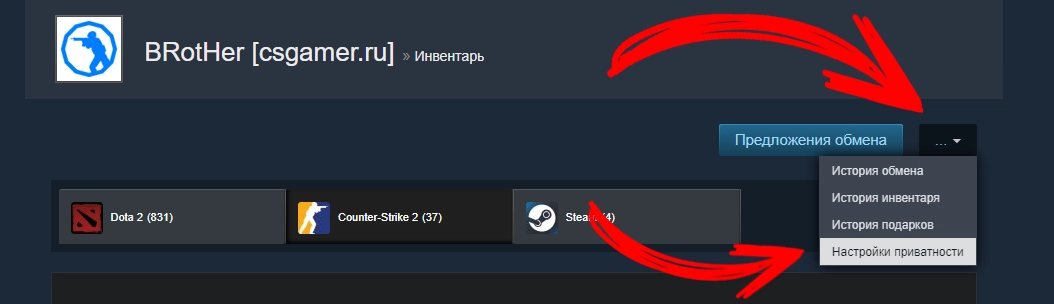 Настройки приватности в Steam